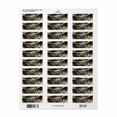 Enchanted Night Sky Palm Trees & String Lights Etiket (Full Sheet)