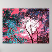 Enchanted   poster (Voorkant)