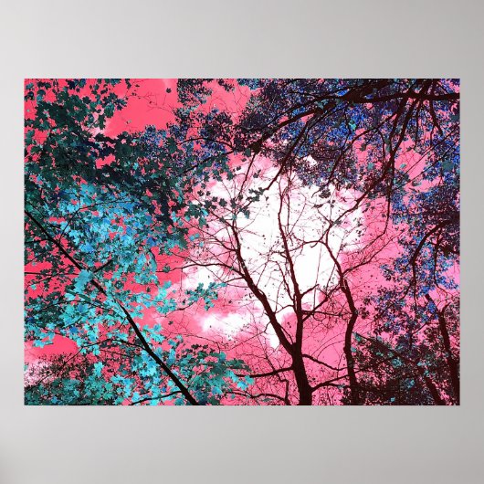 Enchanted   poster (Voorkant)