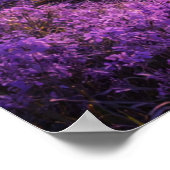 Enchanted River Beneath Purple Sky Poster (Hoek)