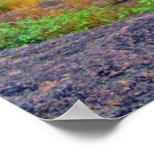 Enchanted Rock-Poster Poster (Hoek)