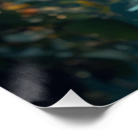 Enchanted Waterfall Natuur Poster (Hoek)