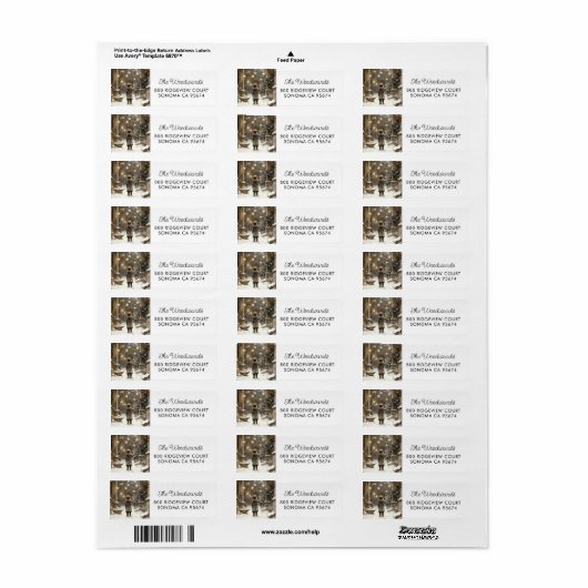 Enchanted Winter Holiday Retour Adres Label (Full Sheet)
