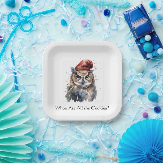 Enchanted Winter Owl, op maat Papieren Bordje (Feest)