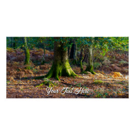 Enchanted Woodland Scene – Glossy Poster