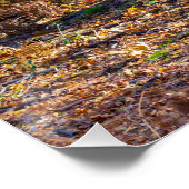 Enchanted Woodland Scene – Glossy Poster (Hoek)