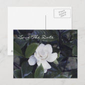 Enchanting Gardenia Save The Date Postcard Aankondigingskaart (Voorkant / Achterkant)