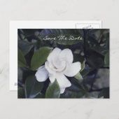 Enchanting Gardenia Save The Date Postcard Aankondigingskaart (Voorkant / Achterkant)