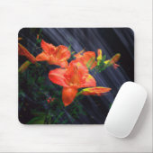 ENCHANTMENT MOUSEPAD MUISMAT (Met muis)