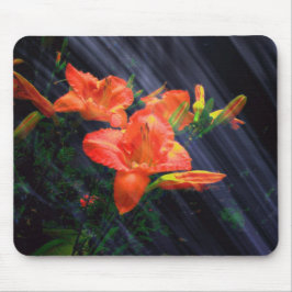 ENCHANTMENT MOUSEPAD MUISMAT