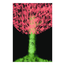 Enchantree Foto Afdruk