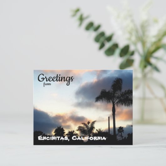 Encinitas California Palm Trees Sunset Briefkaart (Staand voorkant)