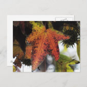 Encino California Briefkaart (Voorkant / Achterkant)