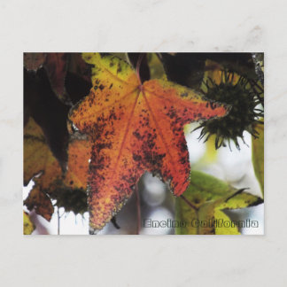 Encino California Briefkaart