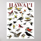 Endemische vogels van Hawai'i Poster (Voorkant)