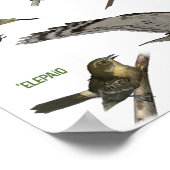 Endemische vogels van Hawai'i Poster (Hoek)