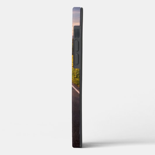 Endless Road Through Desert Landscape Phone Case (Achterkant / Links)