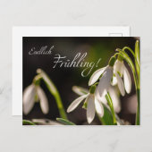 Endlich Frühling. Briefkaart (Voorkant / Achterkant)