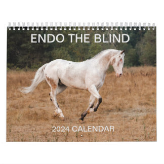 ENDO THE BLIND - KALENDER 2024