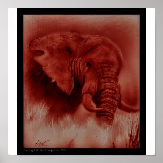 Endone Elephant Poster (Voorkant)