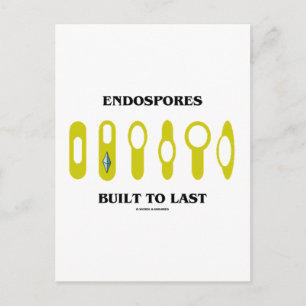 Endosporen gebouwd om lang mee te gaan (bacteriële briefkaart