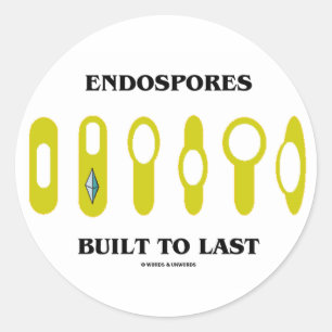 Endospores gebouwd tot laatste (bacteriële houdin ronde sticker