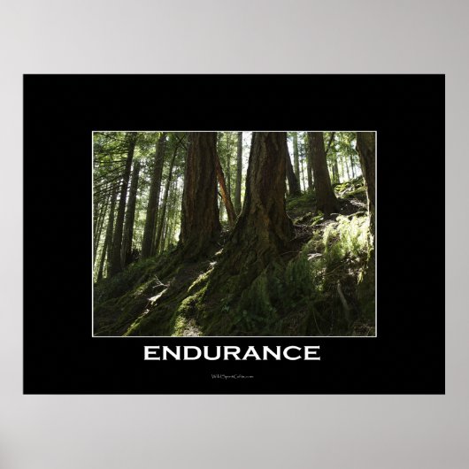 ENDURANCE Forest Motivatie foto afdrukken Poster (Voorkant)