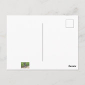 Enduro Mountain Bike Race Briefkaart (Achterkant)