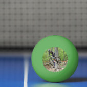 Enduro Mountain Bike Race Pingpongbal (Net)