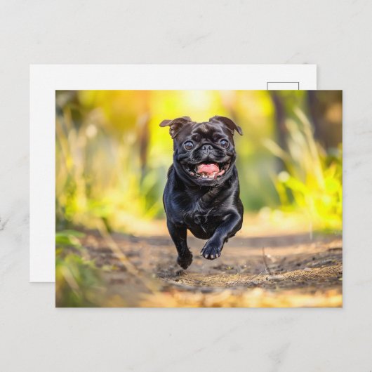 Energetic Pug Running Through Forest Briefkaart (Voorkant / Achterkant)