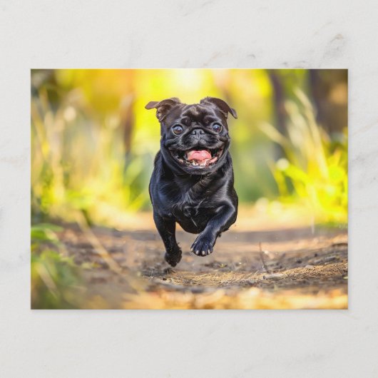 Energetic Pug Running Through Forest Briefkaart (Voorkant)
