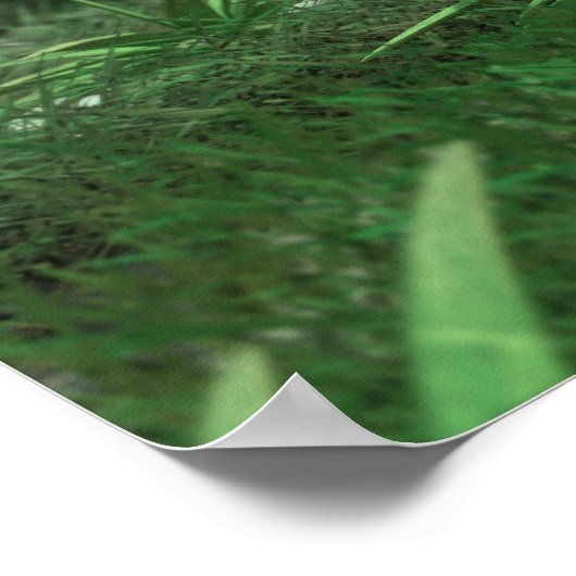 Energie-Plant 2 Canvas Poster (Hoek)