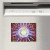 Energie van stermagneet magneet (Insitu (Vaatwasser))
