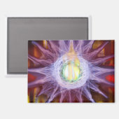 Energie van stermagneet magneet (Voorkant / Achterkant)