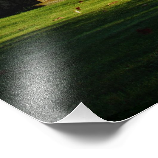 "Energiegloed" Foto Afdruk (Hoek)