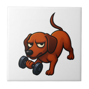 Energieke dachshond dumbbell strip motivatie tegeltje