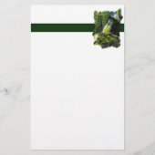 Energy Flyer (Voorkant)