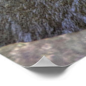 Enfield Glen, Robert H Treman State Park, NY Poster (Hoek)