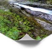 Enfield Glen, Robert H Treman State Park, NY Poster (Hoek)