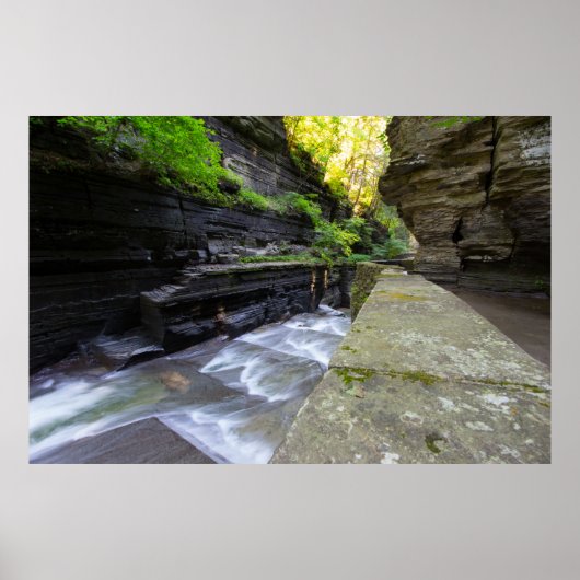 Enfield Glen, Robert H Treman State Park, NY Poster (Voorkant)