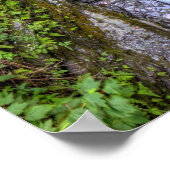 Enfield Glen, Robert Treman State Park, New York Poster (Hoek)