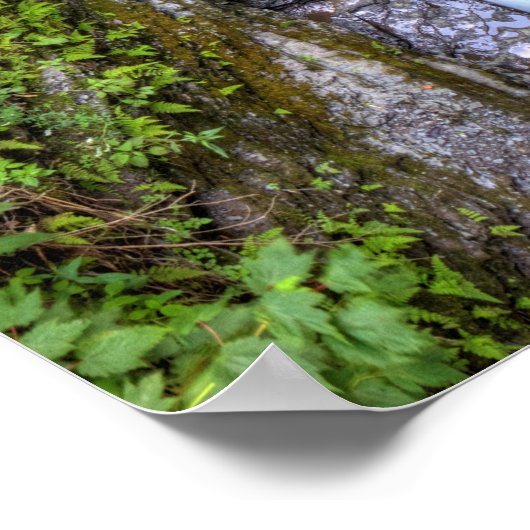 Enfield Glen, Robert Treman State Park, New York Poster (Hoek)