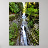 Enfield Glen, Robert Treman State Park, New York Poster (Voorkant)