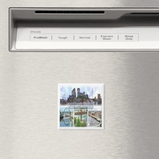 ENG047 NEWCASTLE, Engeland, Europa, Fridge Magneet (Insitu (Vaatwasser))