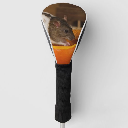 eng Black Hoods rat die pompoenzaad eet Golfheadcover (Voorkant)