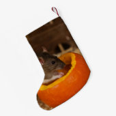 eng Black Hoods rat die pompoenzaad eet Kleine Kerstsok (Achterkant (Hangend))