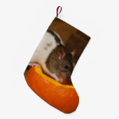 eng Black Hoods rat die pompoenzaad eet Kleine Kerstsok (Voorkant (Hangend))