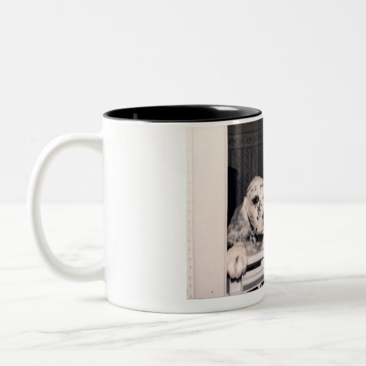 eng. setter-mok tweekleurige koffiemok (Links)