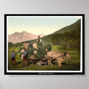 Engadine, Grisons, Zwitserland Poster