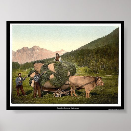 Engadine, Grisons, Zwitserland Poster (Voorkant)